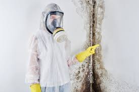 Best Water Damage & Mold Remediation  in Marion Oaks, FL